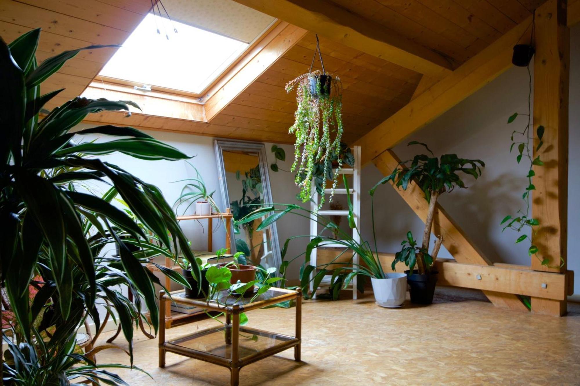 Loft Haut De Gamme Entre Verdure Et Ville Chaudefontaine  エクステリア 写真